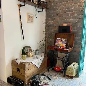 book here